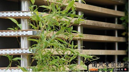 2009���Р�����չ��ѳ��л��@�����e�����B