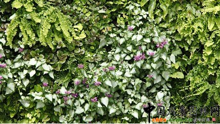 2009���Р�����չ��ѳ��л��@�����e�����B