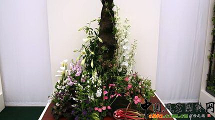 2009���Р�����չ֮��ˇ�OӋչ(�M�D)