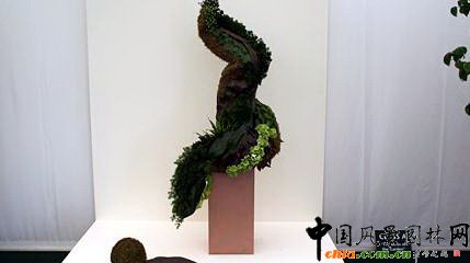 2009���Р�����չ֮��ˇ�OӋչ(�M�D)