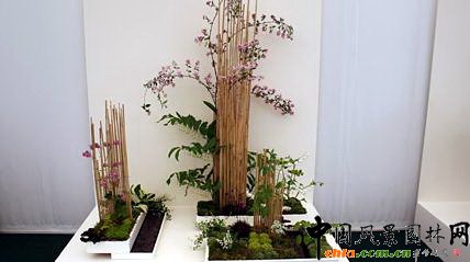 2009���Р�����չ֮��ˇ�OӋչ(�M�D)