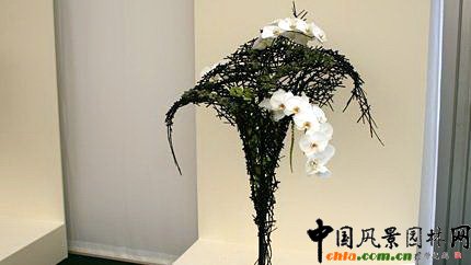 2009���Р�����չ֮��ˇ�OӋչ(�M�D)