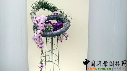 2009���Р�����չ֮��ˇ�OӋչ(�M�D)