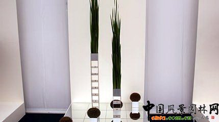 2009���Р�����չ֮��ˇ�OӋչ(�M�D)