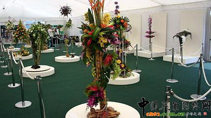 2009���Р�����չ֮��ˇ�OӋչ(�M�D)