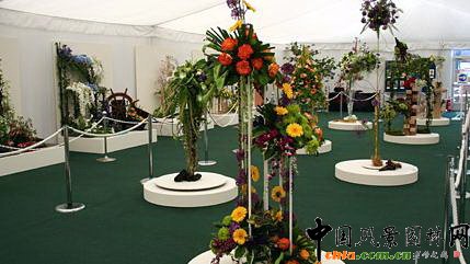 2009���Р�����չ֮��ˇ�OӋչ(�M�D)