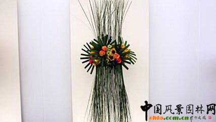 2009���Р�����չ֮��ˇ�OӋչ(�M�D)