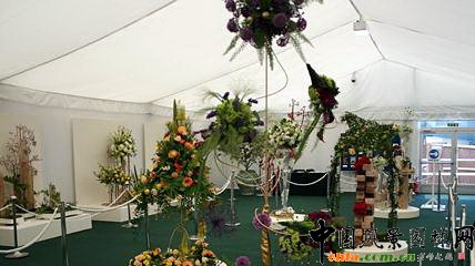 2009���Р�����չ֮��ˇ�O(sh��)Ӌ(j��)չ(�M�D)