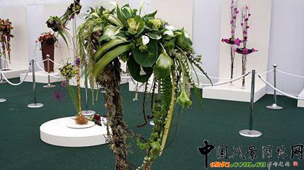 2009���Р�����չ֮��ˇ�O(sh��)Ӌ(j��)չ(�M�D)