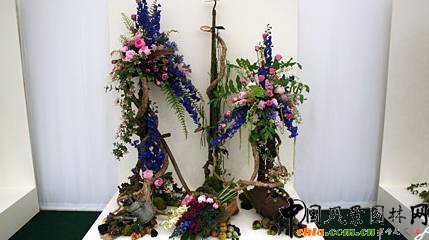 2009���Р�����չ֮��ˇ�OӋչ(�M�D)