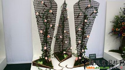 2009���Р�����չ֮��ˇ�OӋչ(�M�D)