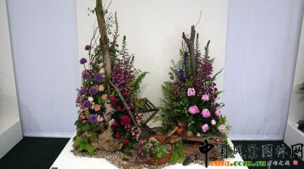 2009���Р�����չ֮��ˇ�OӋչ(�M�D)