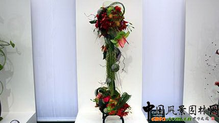 2009���Р�����չ֮��ˇ�OӋչ(�M�D)