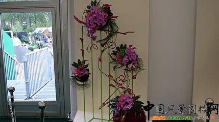 2009���Р�����չ֮��ˇ�OӋչ(�M�D)