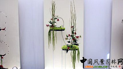 2009���Р�����չ֮��ˇ�OӋչ(�M�D)