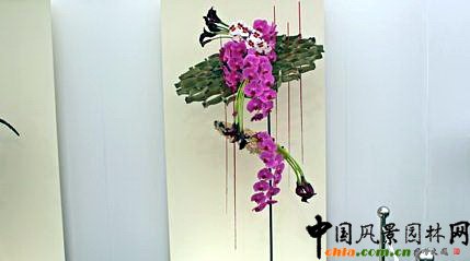 2009���Р�����չ֮��ˇ�O(sh��)Ӌ(j��)չ(�M�D)