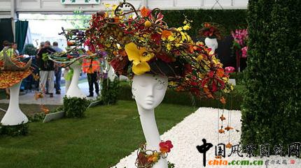 2009���Р�����չ֮��ˇ�OӋչ(�M�D)