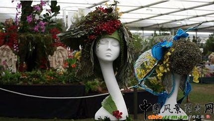 2009���Р�����չ֮��ˇ�OӋչ(�M�D)