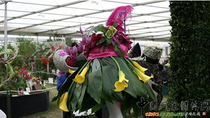 2009���Р�����չ֮��ˇ�OӋչ(�M�D)