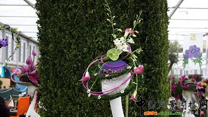 2009���Р�����չ֮��ˇ�OӋչ(�M�D)