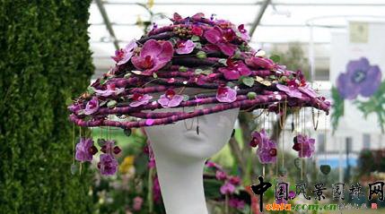 2009���Р�����չ֮��ˇ�OӋչ(�M�D)