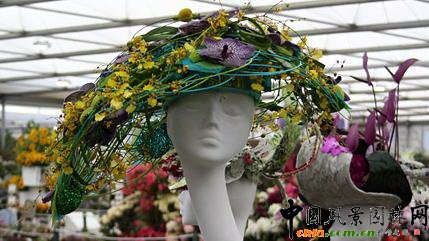 2009���Р�����չ֮��ˇ�OӋչ(�M�D)