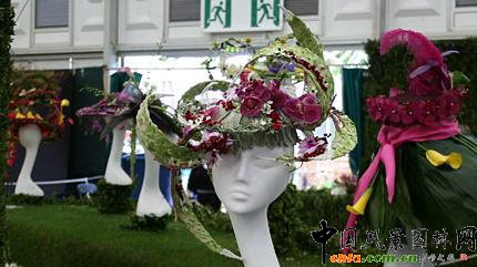 2009���Р�����չ֮��ˇ�OӋչ(�M�D)