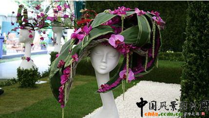 2009���Р�����չ֮��ˇ�OӋչ(�M�D)