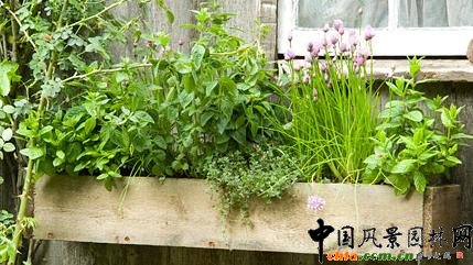 2009���Р�����չ���ͥԺ���@�������m�����g֮�@(�M�D)