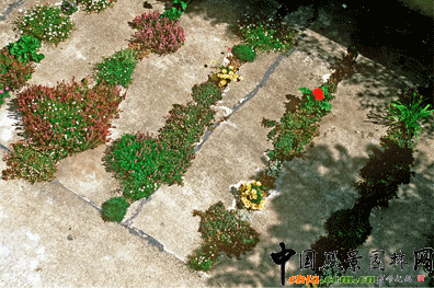 2009ASLA��ס�^(q��)�O(sh��)Ӌ(j��)s�u(y��)��(ji��ng)���ѿp���@