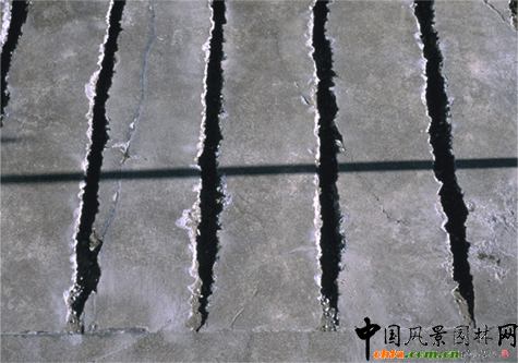 2009ASLA��ס�^�OӋs�u�����ѿp���@