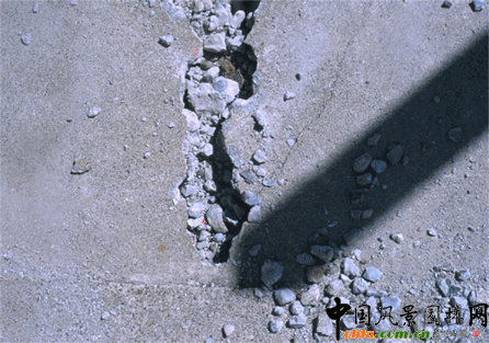 2009ASLA��ס�^�OӋs�u�����ѿp���@