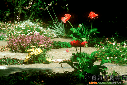 2009ASLA��ס�^�OӋs�u�����ѿp���@