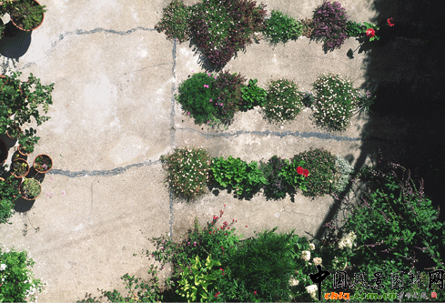 2009ASLA��ס�^�OӋs�u�����ѿp���@