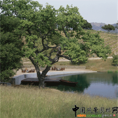 2009ASLA��ס�^�OӋs�u����������