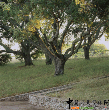 2009ASLA��ס�^�OӋs�u����������