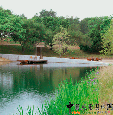 2009ASLA��ס�^�OӋs�u����������