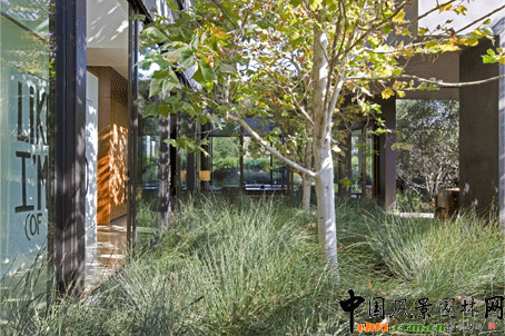 2009ASLA��ס�^(q��)�O(sh��)Ӌ(j��)s�u(y��)��(ji��ng)���SҲ�{·סլ