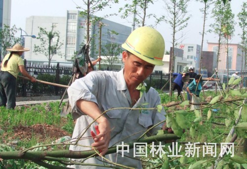 ��h(hu��n)170�fԪ�����Gɫ������ 