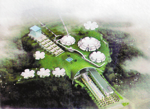 �c�����´��ڞg�[�DƬ