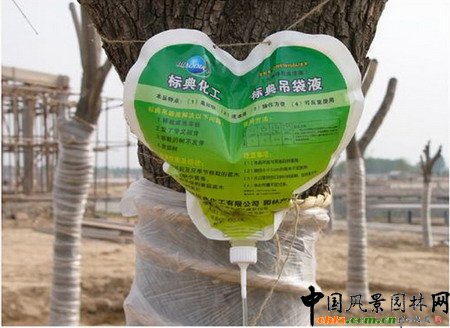 ɽ�|�R���υ^���@��ֲ�����ϡ���ƿ��