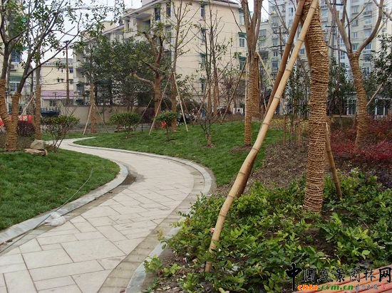 �����б����R�I�G������