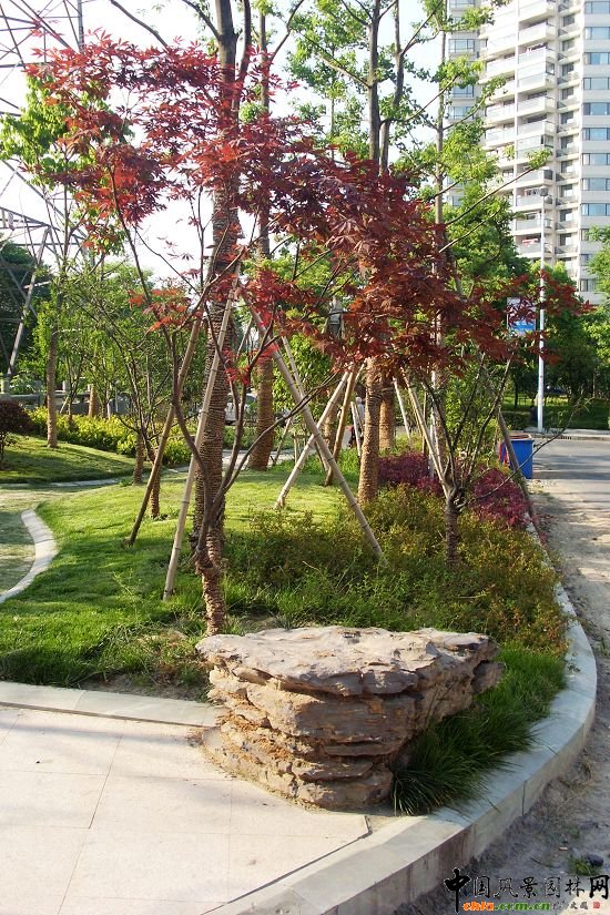 �����б����R�I�G������