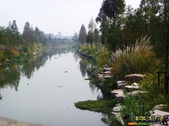 ���ݺ����ۃɰ����ξG�����^