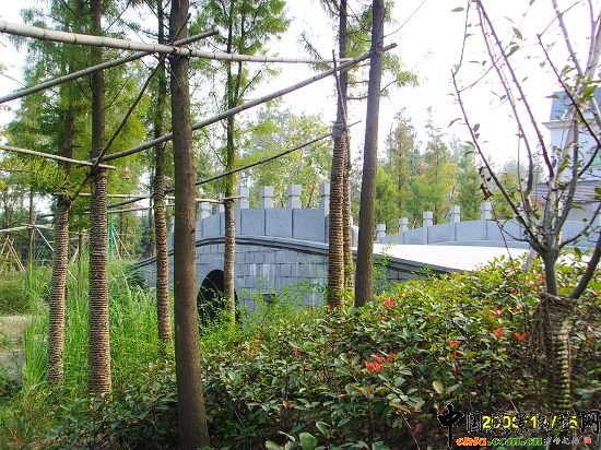 ���ݺ����ۃɰ����ξG�����^