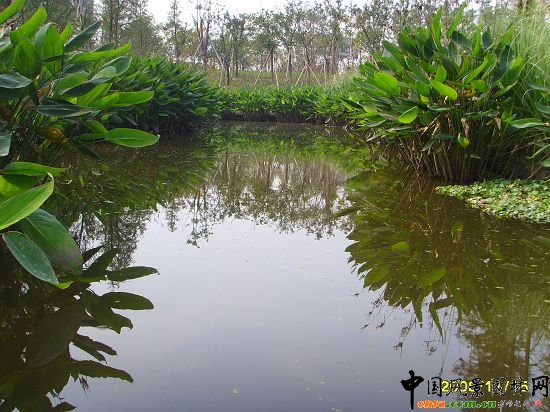 ���ݺ����ۃɰ����ξG�����^