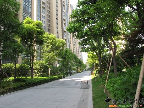 �����L(f��ng)���X�����o���@���ھG������