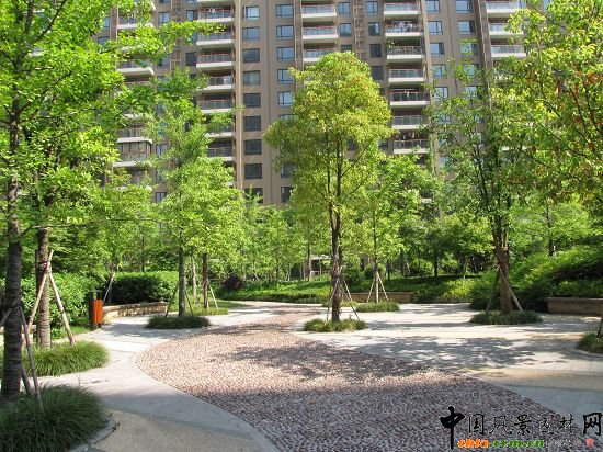 �����L(f��ng)���X�����o���@���ھG������