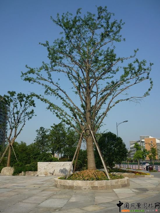 ���ݹ����^��M�ۺӾ��^�G������