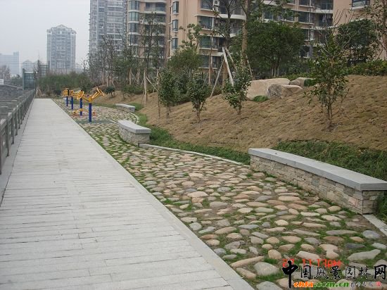 ����悖|�Ӿ��^����